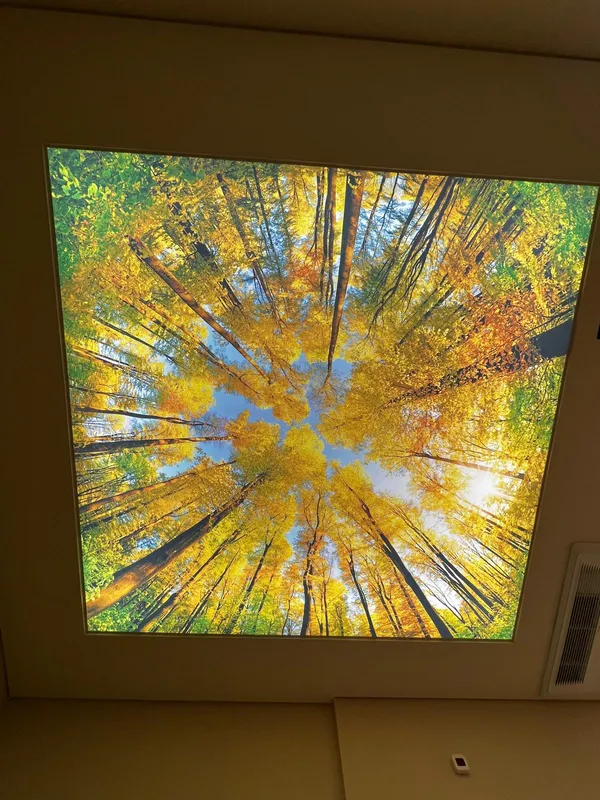 Фотопечать осень — жилая комната с подсветкой