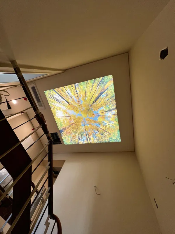 Fotoprintagem outono — vista lateral