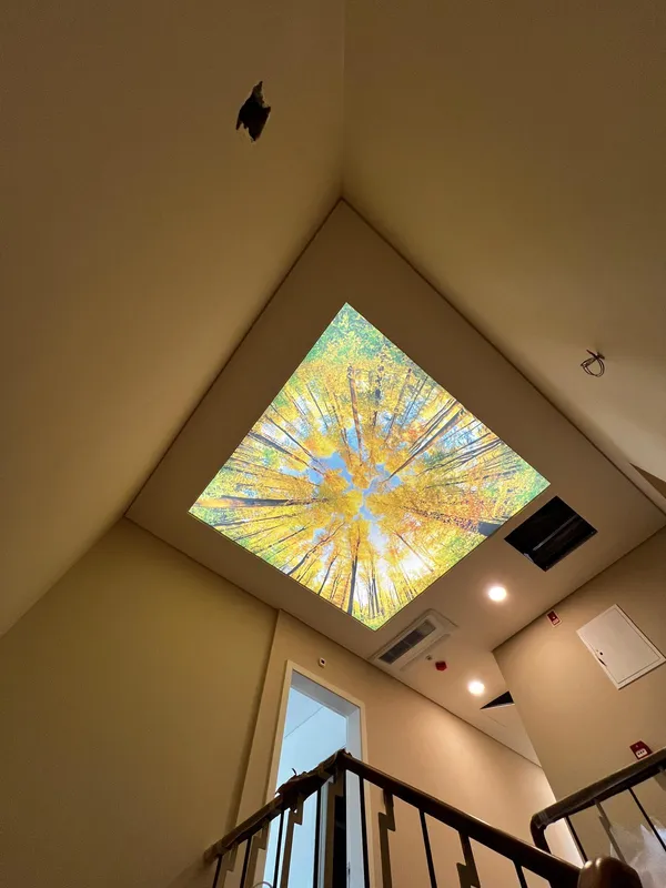 Фотопечать осень на лестнице — угол крупным планом