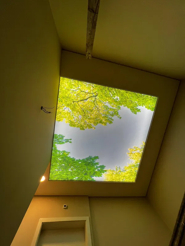 Fotoprintagem floresta verde — ângulo escuro