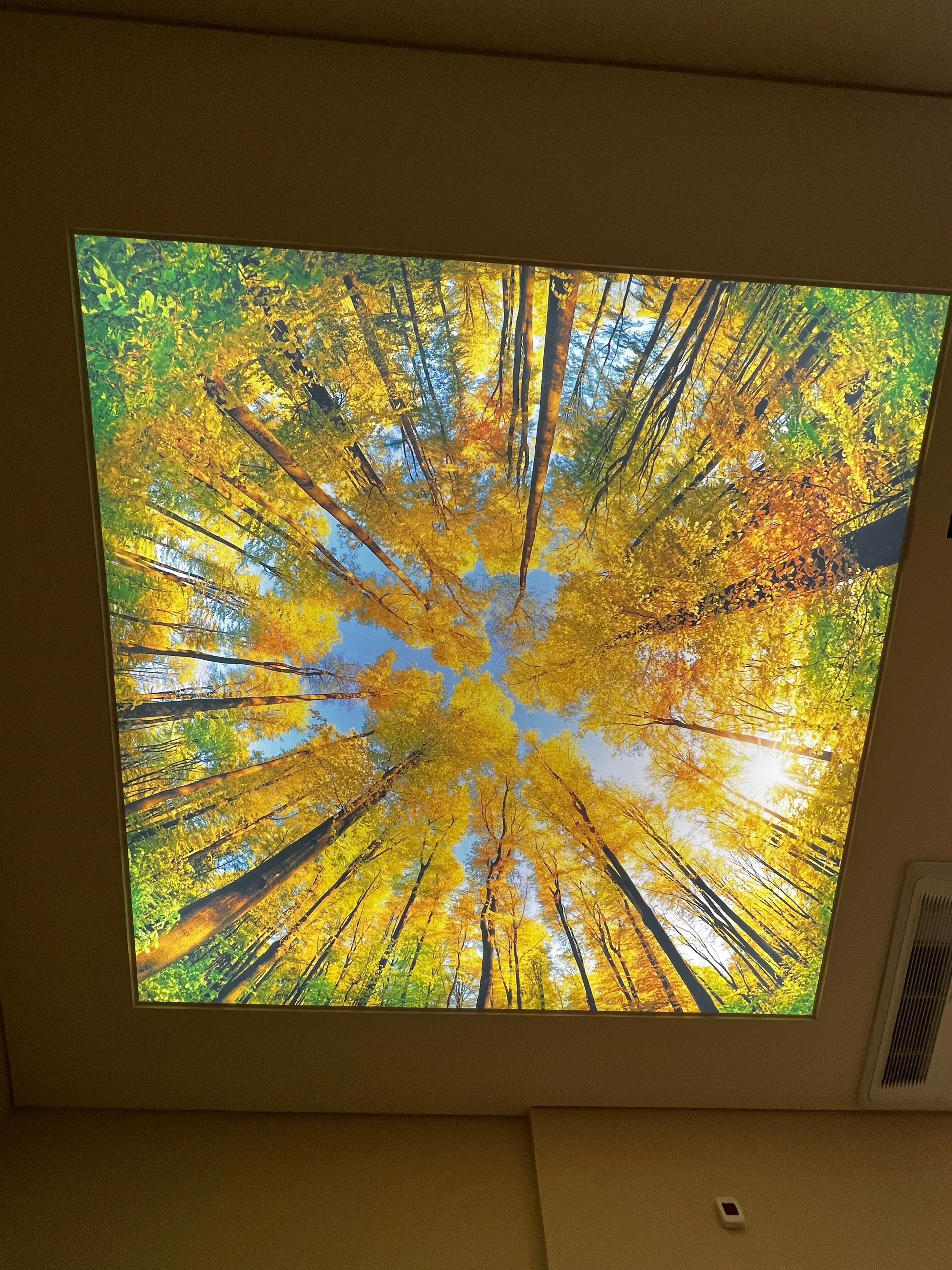 Tecto tenso com fotoprint — 10